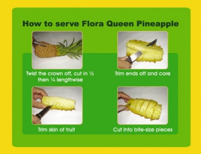 flora_serve_400